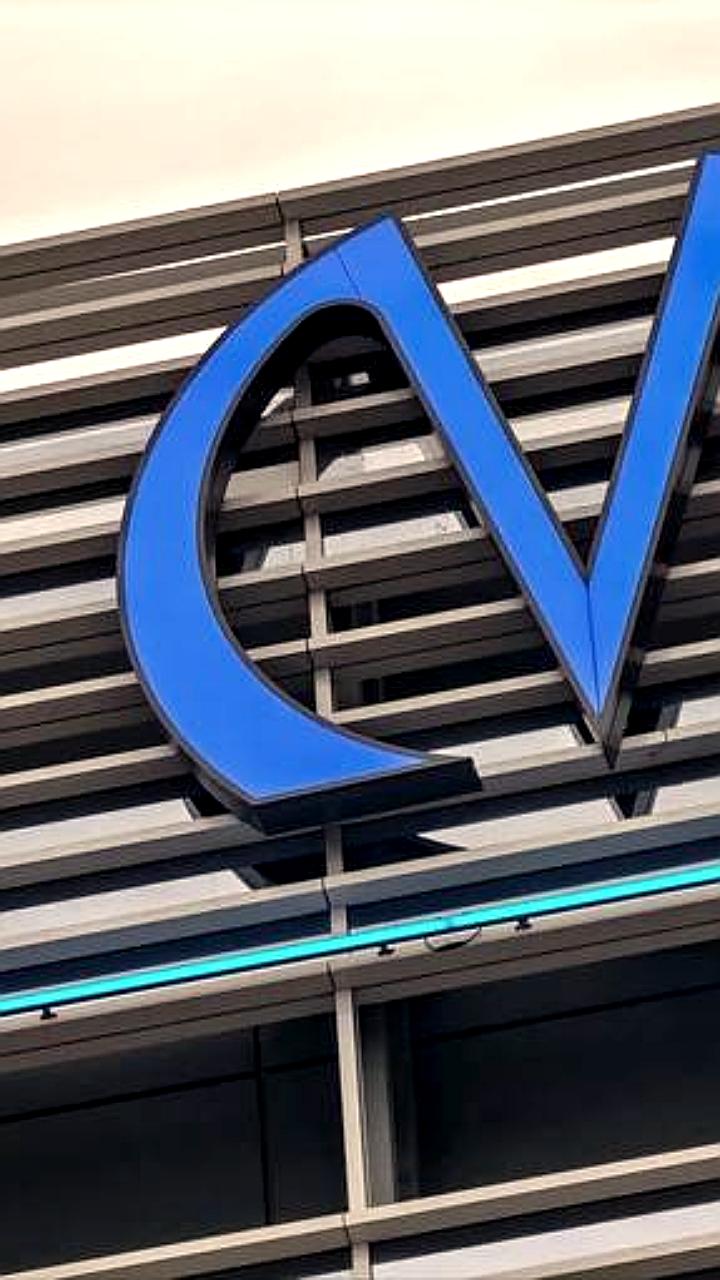 Общественный контроль и суды: новости Петербурга о метро, нелегальных елках и культурных событиях