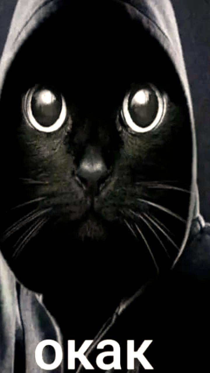 ВКонтакте и Memepedia подвели итоги мемов 2025 года