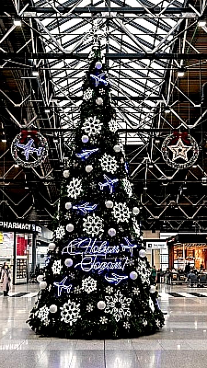 Россияне могут летать в 41 страну этой зимой с прямыми рейсами