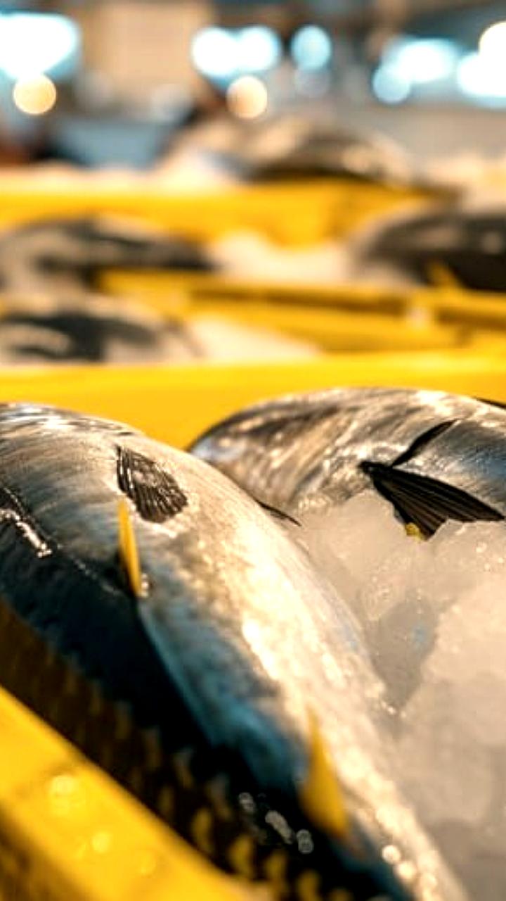 Переработка рыбы в Дагестане увеличилась почти вдвое в 2025 году