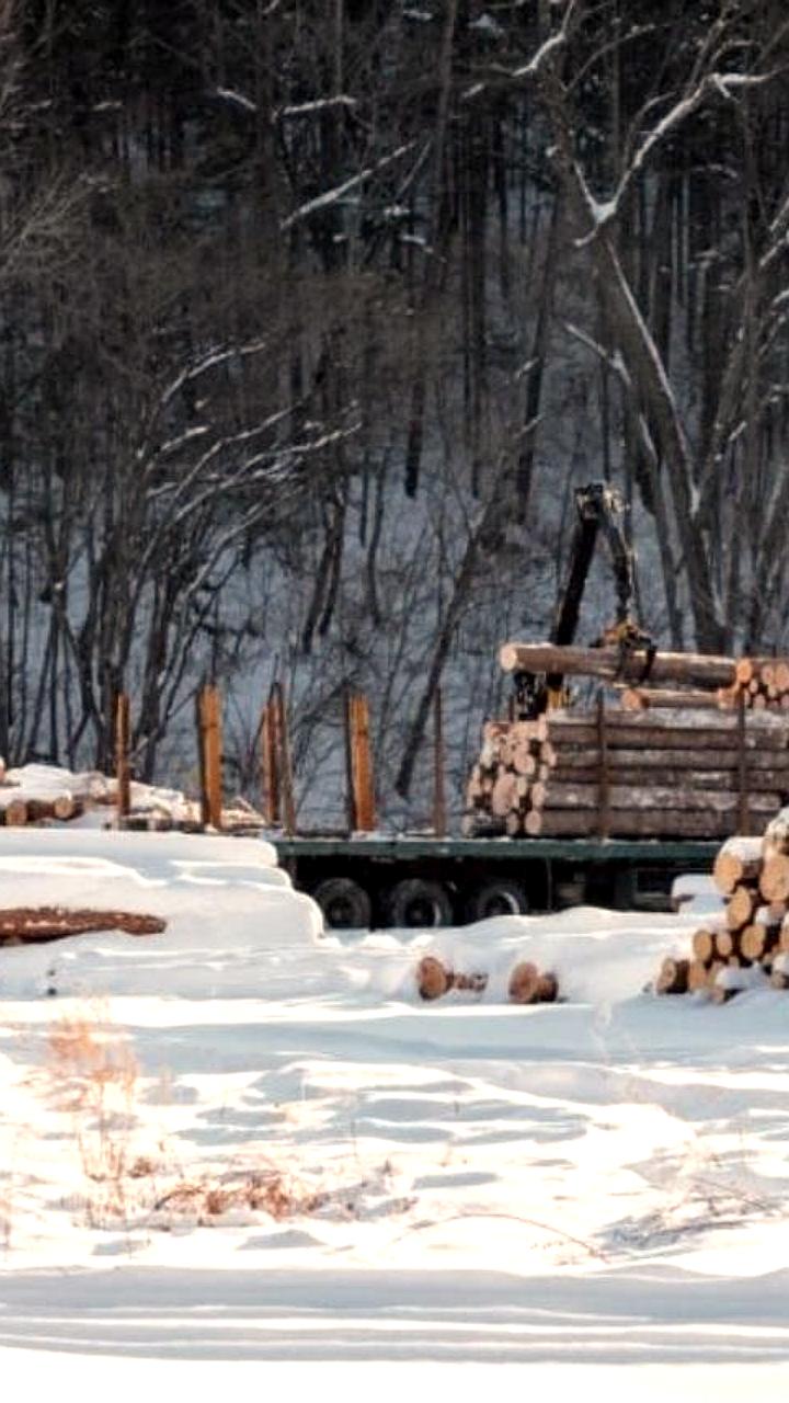 Госдума рекомендует законопроект о изменении границ ООПТ для строительства объектов