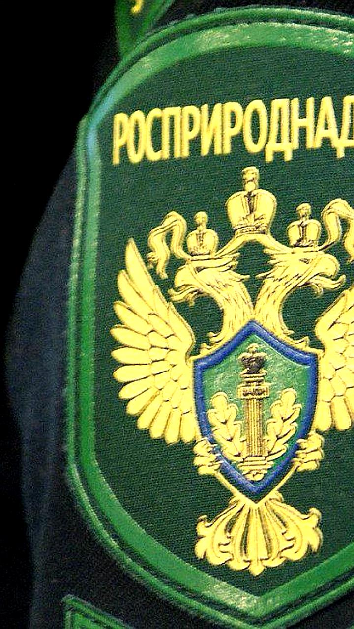 Космические снимки становятся инструментом экологического надзора в России с 2025 года