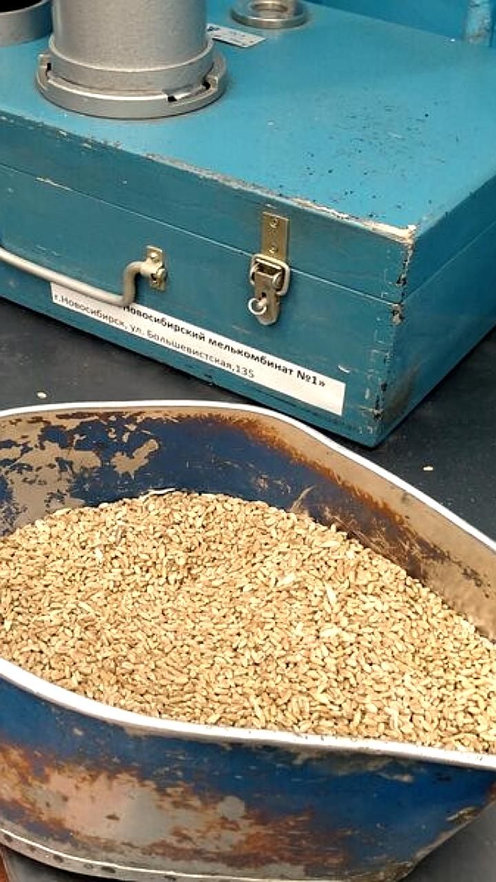 Аграрии Александровского округа достигли рекордного урожая в 2025 году