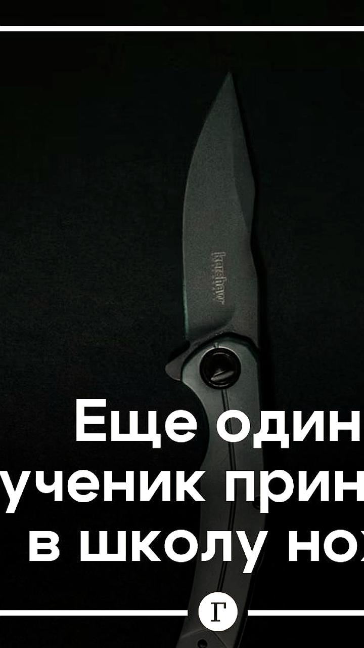 Инцидент в школе 48 Петрозаводска: восьмиклассник пришел на урок с ножом и свастикой