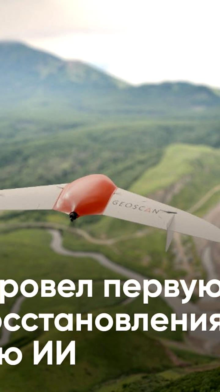 Геоскан применил ИИ для оценки лесовосстановления в Сахалинской области