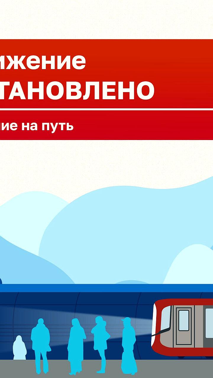 Восстановлено движение поездов на станции Удельная после инцидента с пассажиром