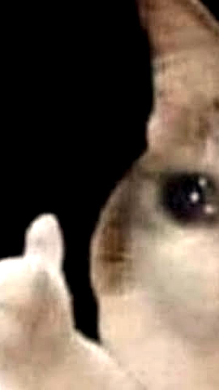 Глава думского комитета по информполитике Боярский опроверг планы по ограничению VPN в России до 2026 года