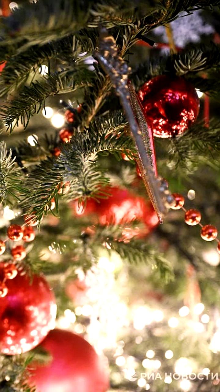 Ozon сокращает срок возврата новогодних товаров до семи дней