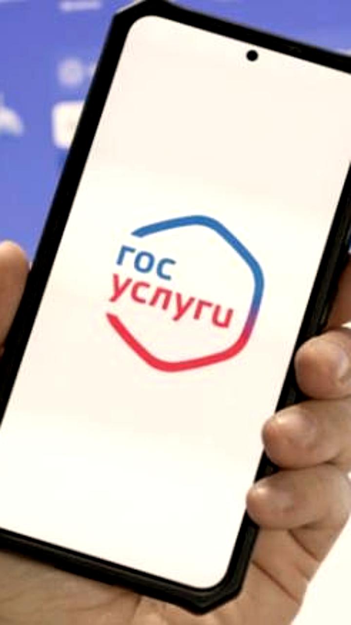 Депутаты предложили автоматизировать обновление данных на Госуслугах