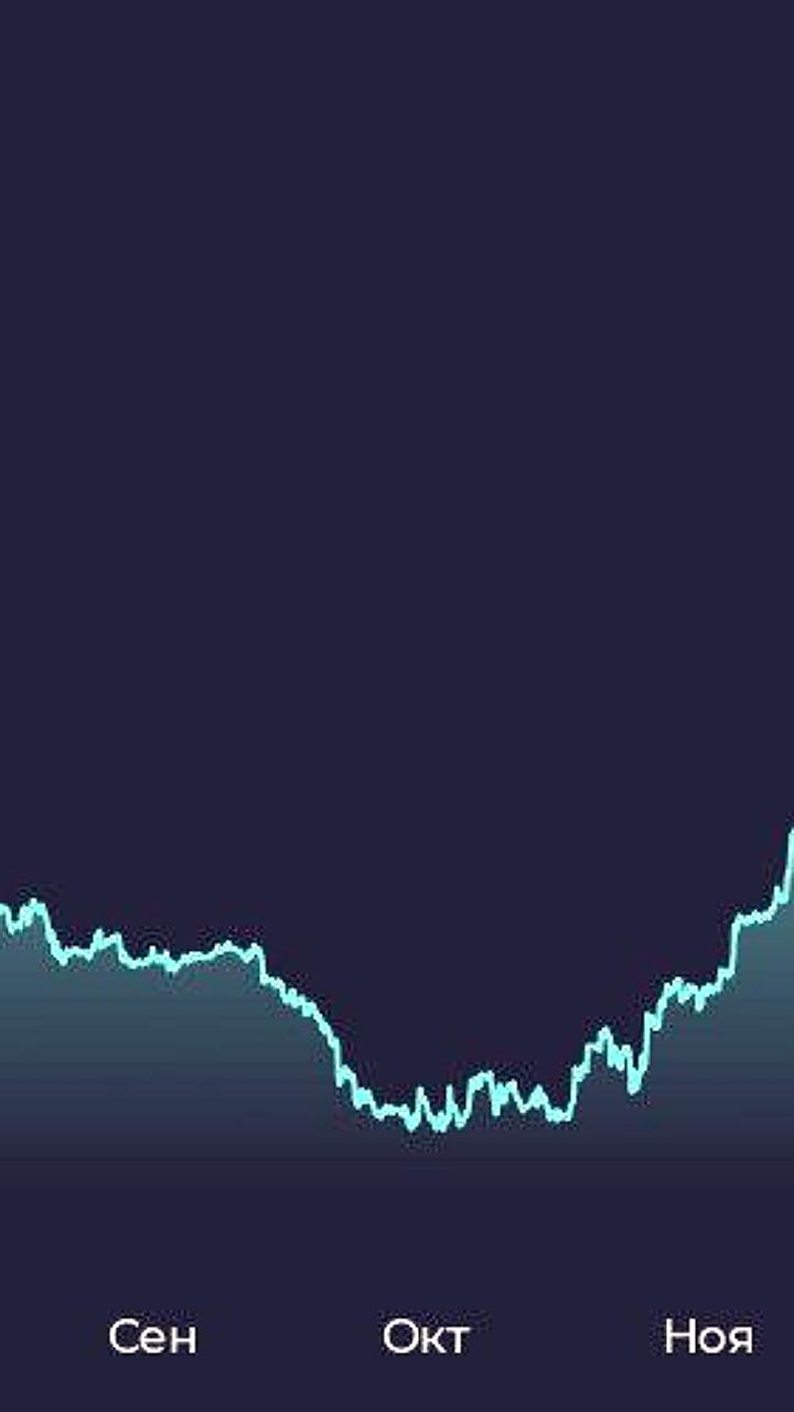 Акции ЭсЭфАй падают на 46% после дивидендного гэпа