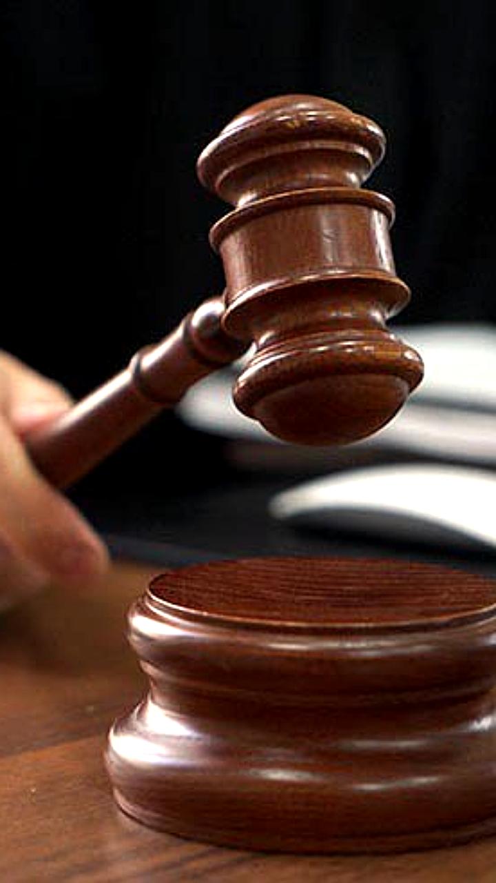 В Иркутске фермер признан виновным в убийстве собаки Йоси