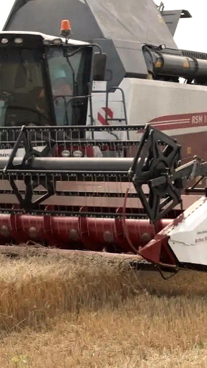 Кабмин обновил критерии для господдержки сельхозтехники