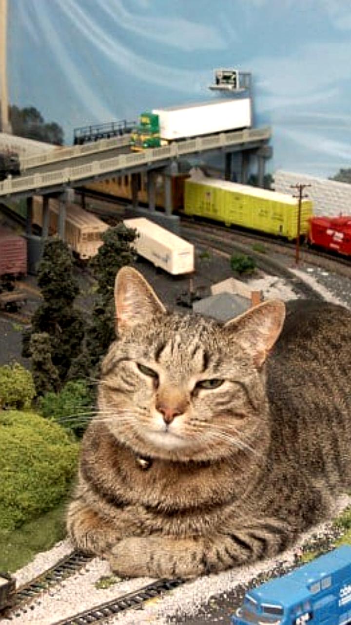 В Казани завершено проектирование кольцевой железной дороги