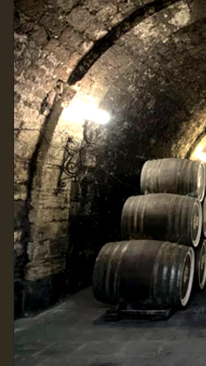 Воронцовские подвалы в Дагестане станут новой туристической локацией