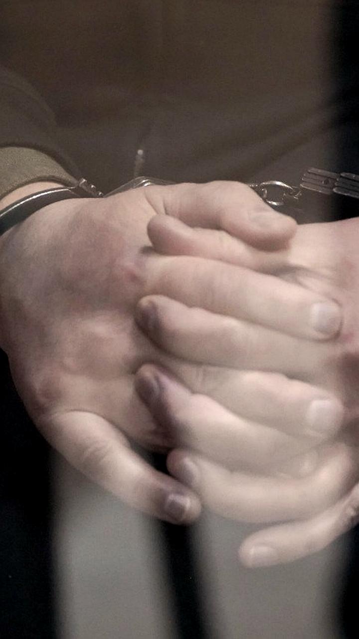 Трое граждан России и Эстонии осуждены в Литве за осквернение памятника антикоммунистическому лидеру