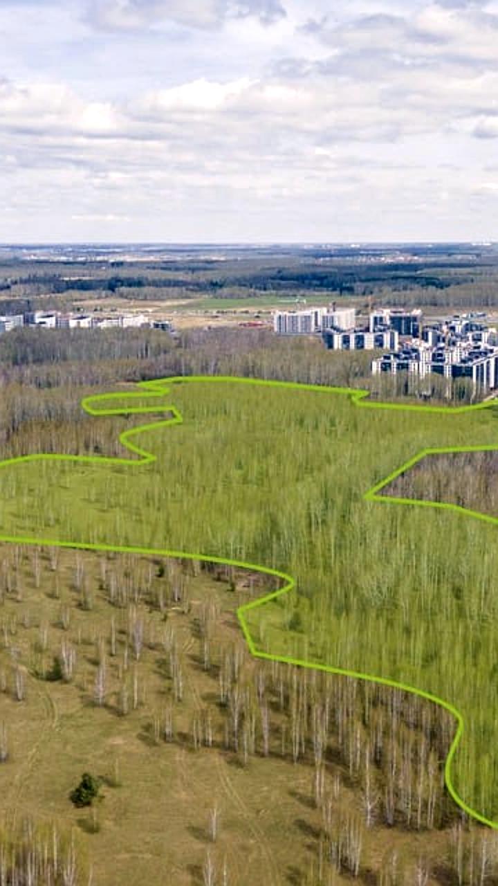 Определены застройщики для новых жилых районов в Красноярске и Новосибирске