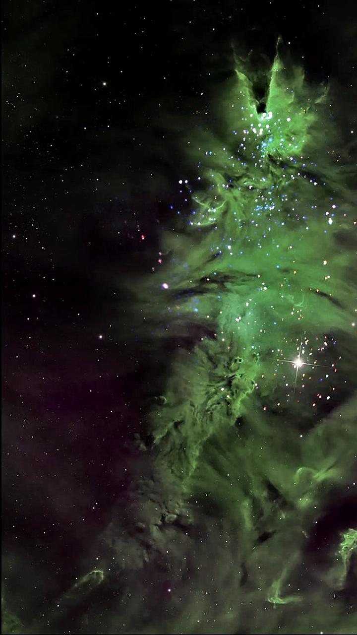 NASA представила звёздное скопление, напоминающее рождественскую ёлку