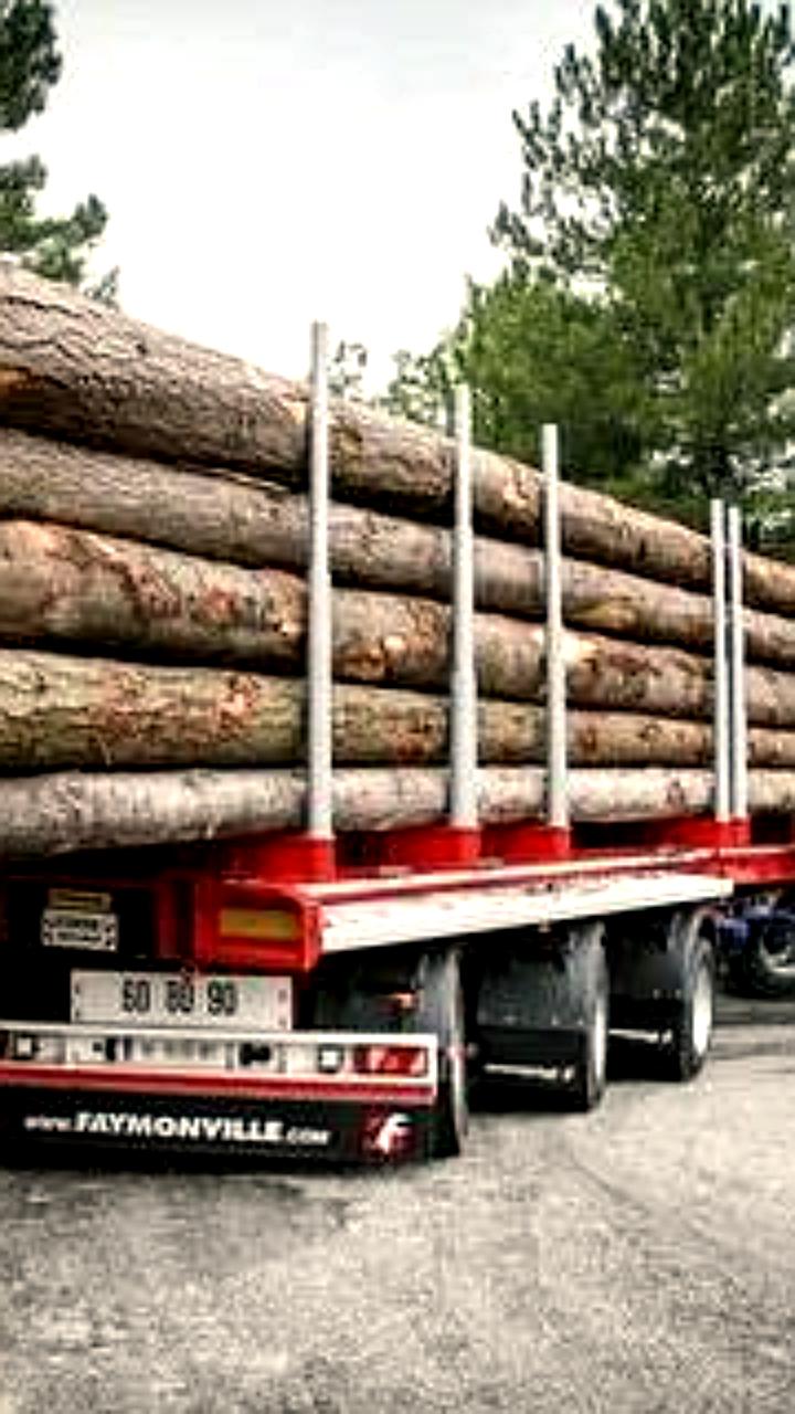 Завершение упрощенного въезда товаров из Казахстана и Киргизии в Россию