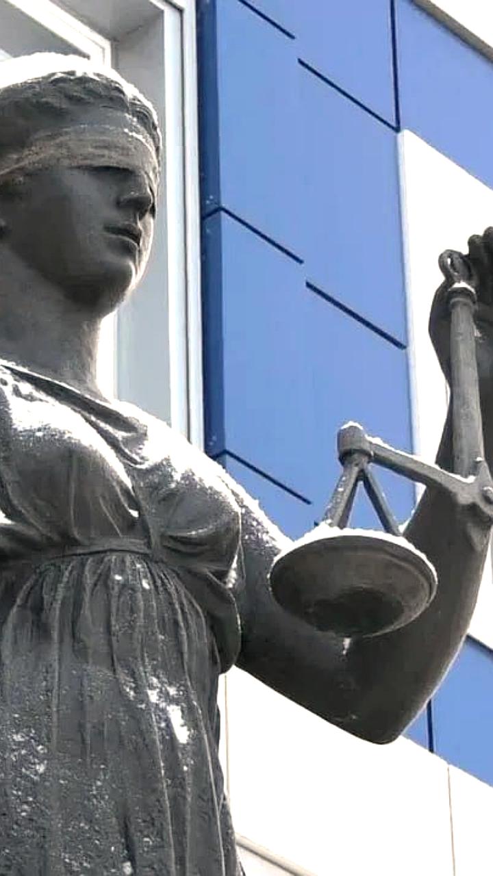 Суд лишил мать из Североморска родительских прав, а в Москве расследуют похищение ребенка