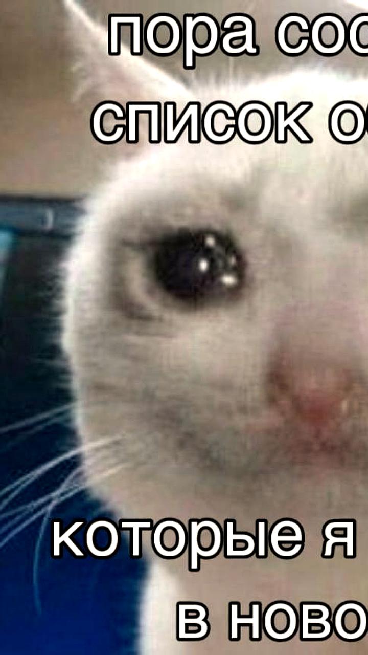 Россияне планируют заняться спортом с Нового года, подводя итоги года