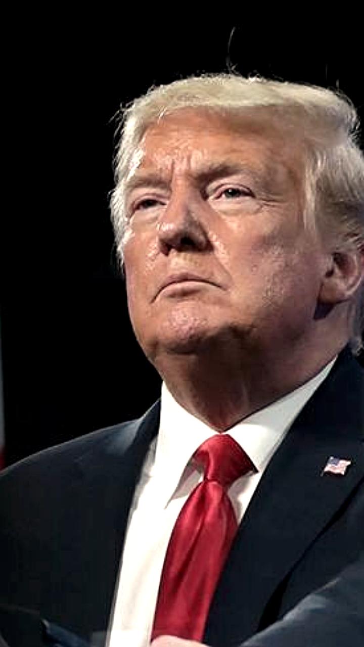 Подтвержден телефонный разговор президентов Путина и Трампа