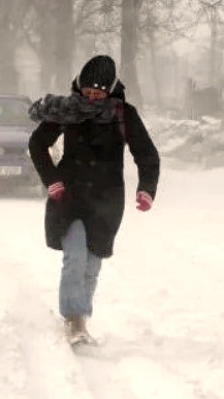 В Румынии объявлен красный код из-за сильных снегопадов и ветра