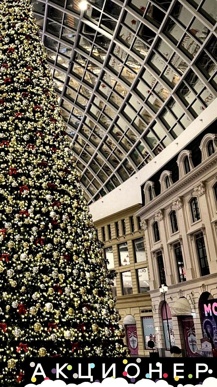 Дизайнерские ёлки в Москве и Питере: цены от 1,3 до 1,5 млн рублей