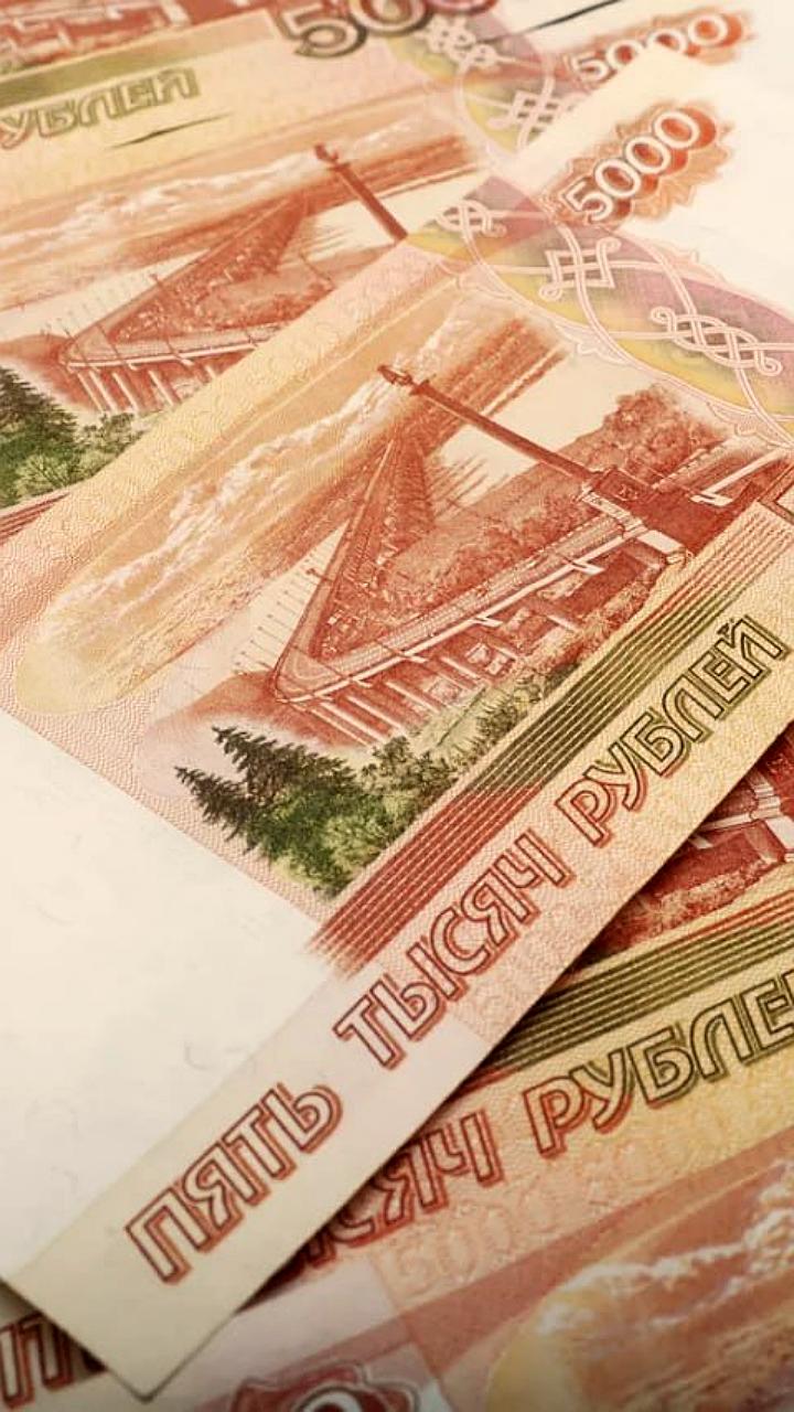 Россияне планируют увеличить доходы в 2026 году, многие просят прибавку к зарплате