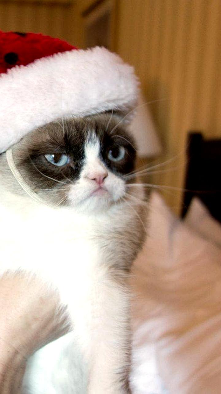 Новогоднее настроение: 33% россиян ощущают праздник, 42% - нет