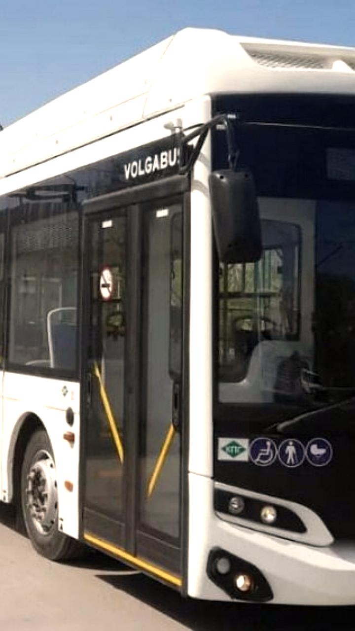 В Волгограде изменится схема работы автобусных маршрутов в 2026 году