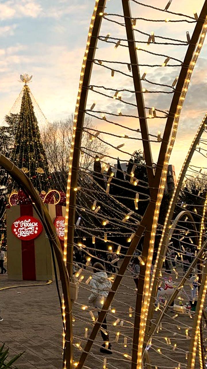 Навагинская улица в Сочи признана самой дорогой в регионах России