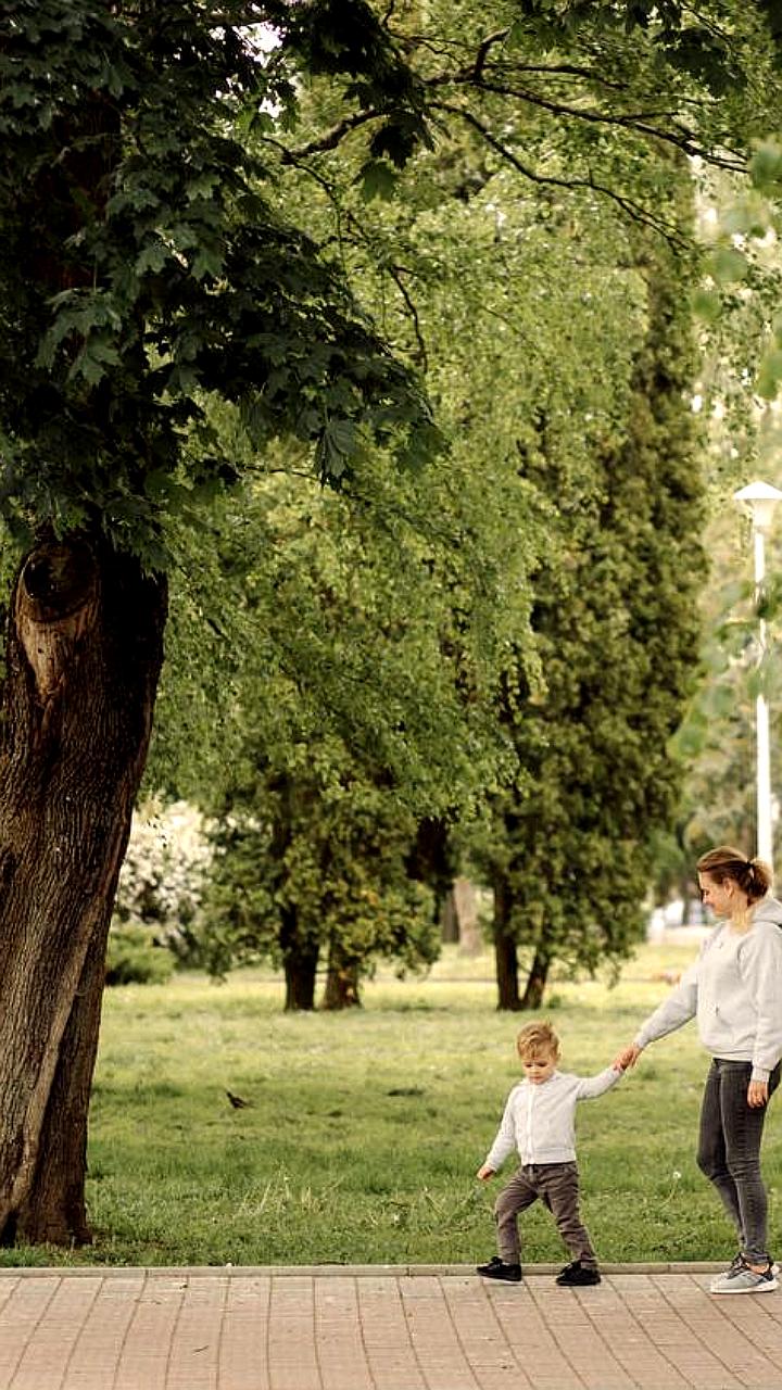 Создание лесопаркового зеленого пояса вокруг Санкт-Петербурга