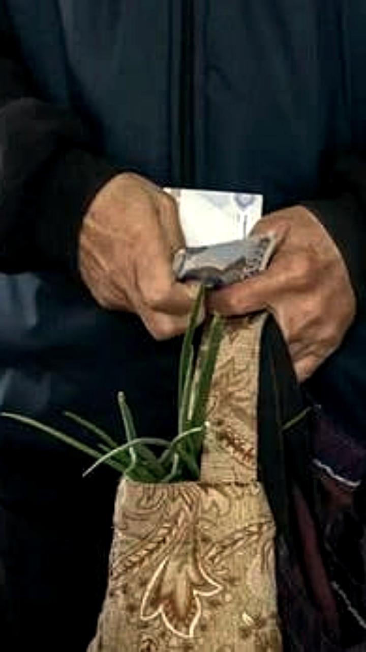 В Узбекистане с 1 февраля 2026 года введут единый социальный реестр граждан