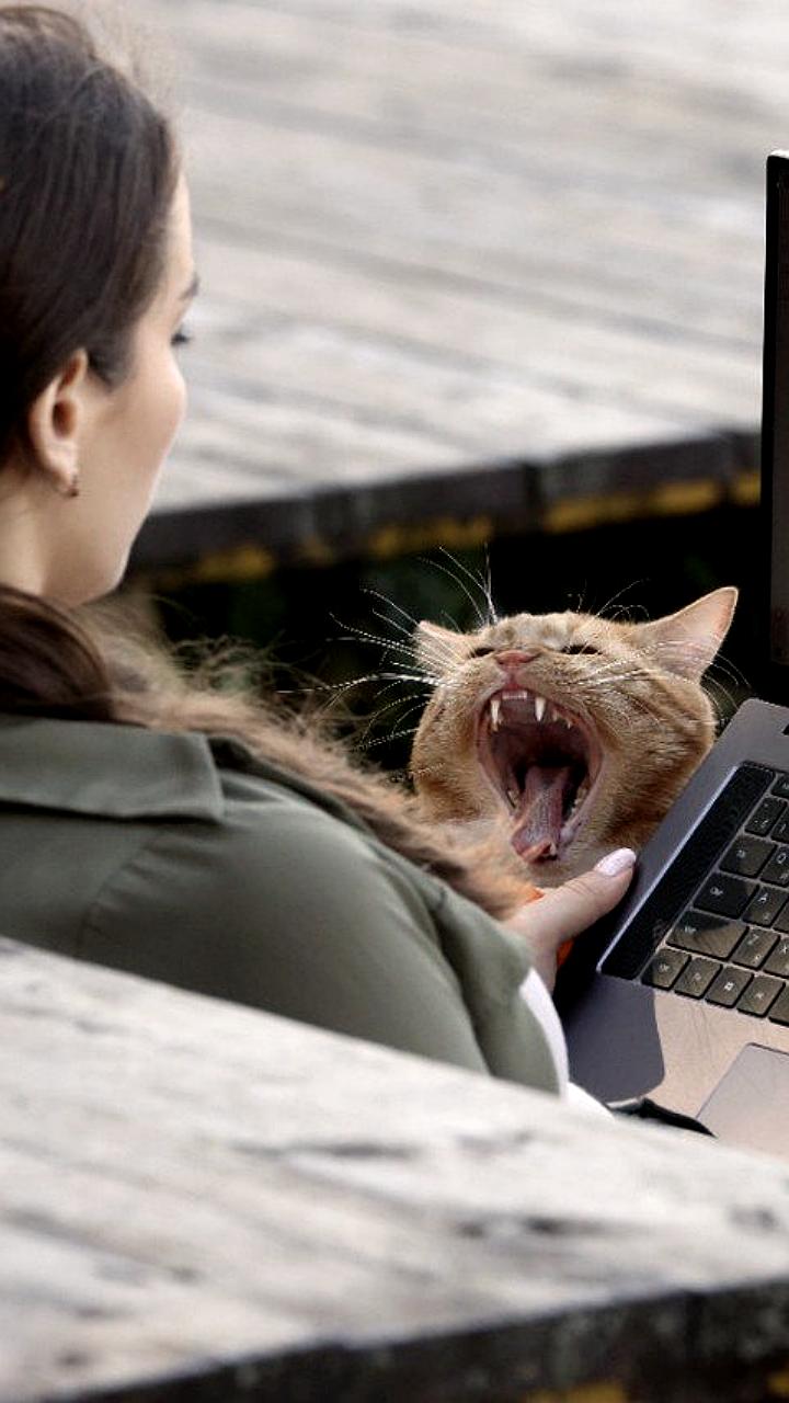 NFT признано словом 2025 года в русскоязычных соцсетях по версии Brand Analytics