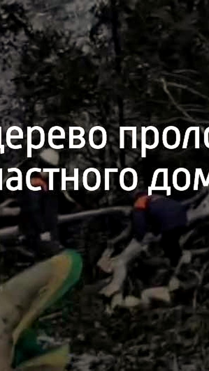 В Сочи дерево упало на дом, но никто не пострадал