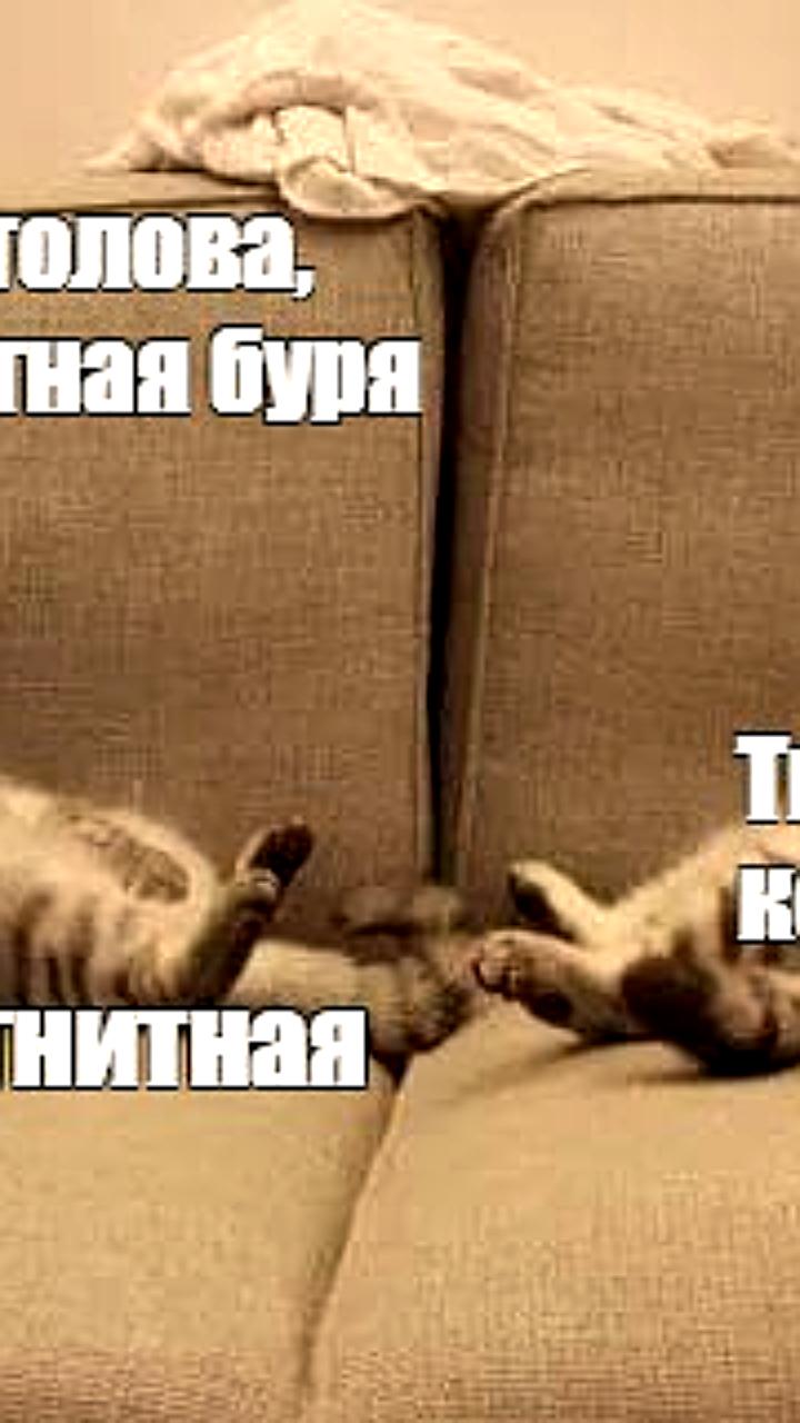 Геомагнитные бури ожидаются в Новый год