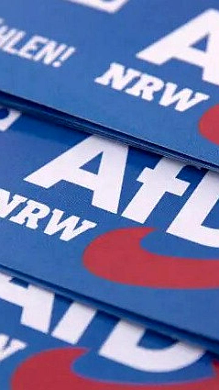 Альтернатива для Германии значительно опередила СДПГ по крупным пожертвованиям