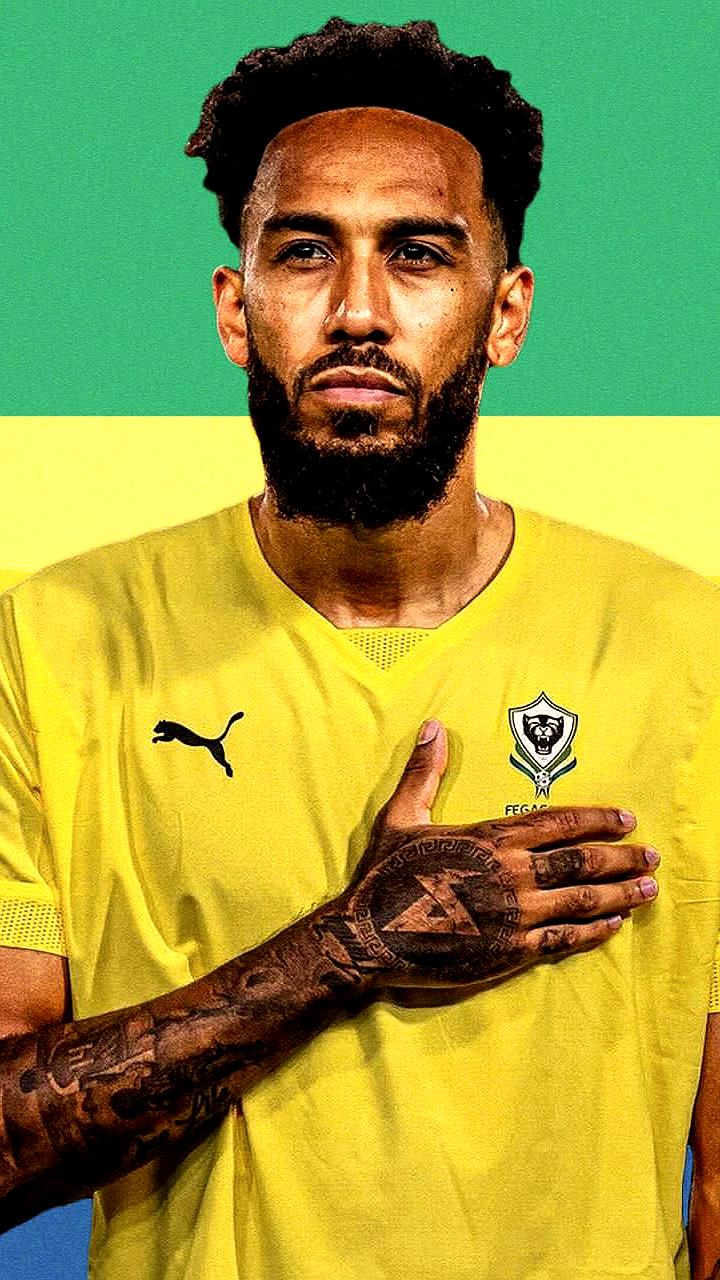 Габонская сборная по футболу распущена после неудачного выступления на Кубке Африки