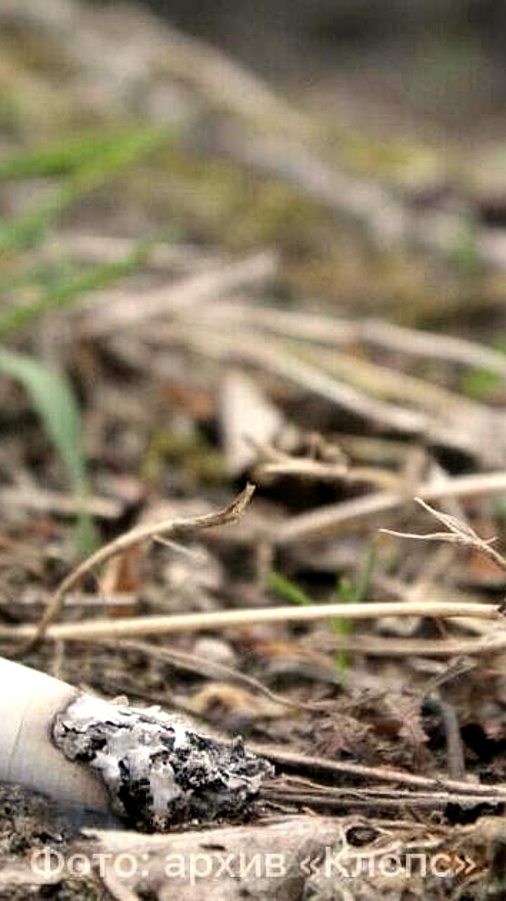 В России установлены новые минимальные цены на табачную продукцию с 2026 года