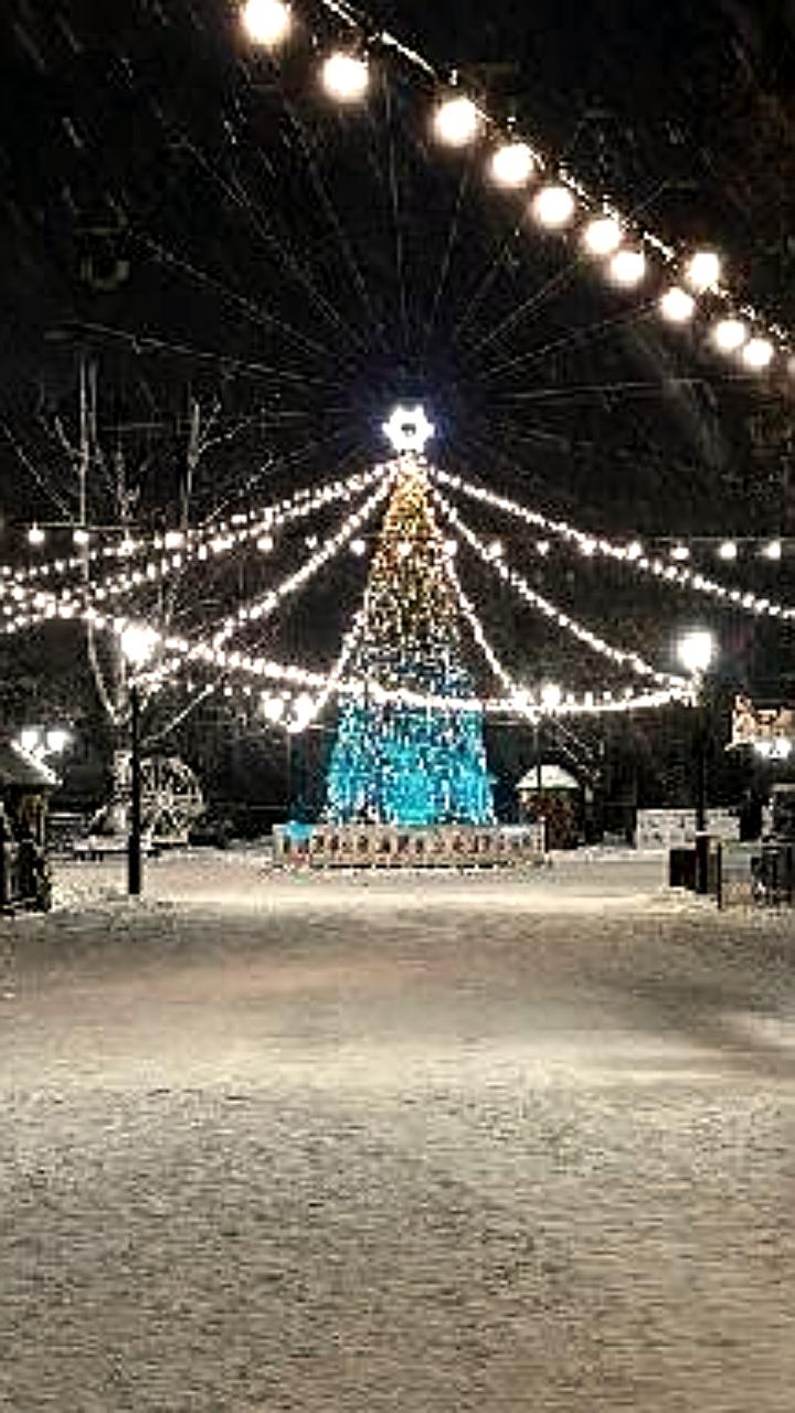 Тамбовские учреждения культуры и образования готовятся к новогодним праздникам