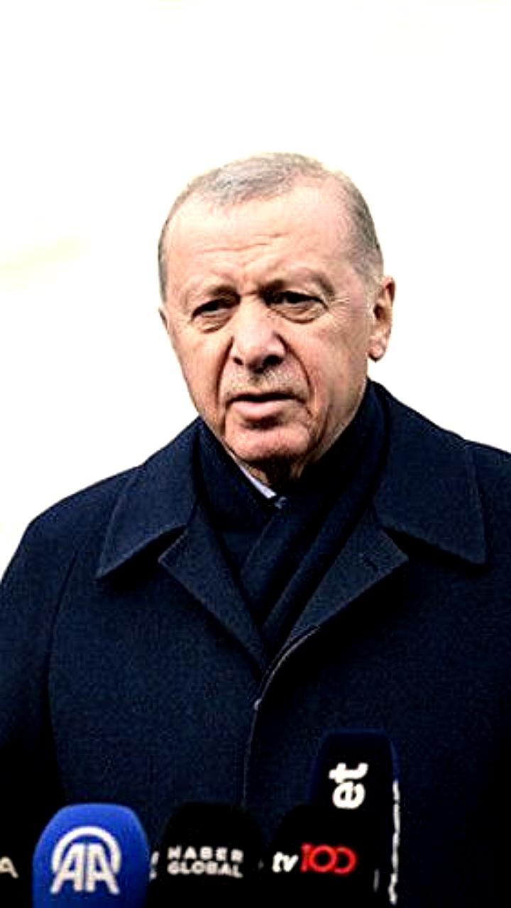 Эрдоган планирует обсудить ситуацию в Украине и секторе Газа с Трампом