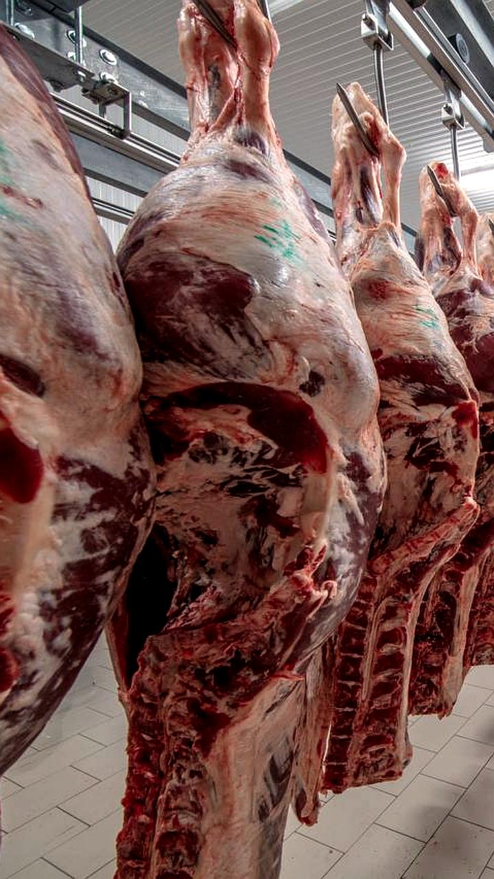 Китай вводит квоты на импорт говядины для защиты внутреннего производства