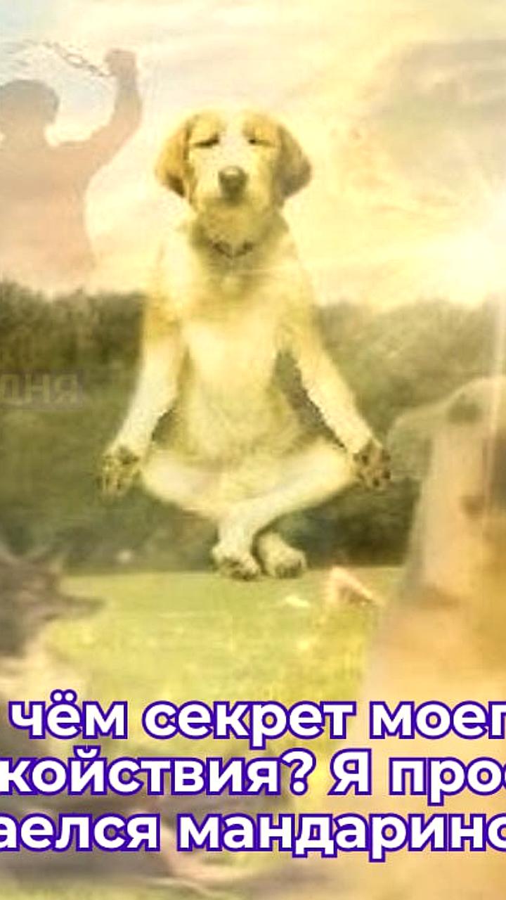 Врачи рекомендуют прогулки и ароматерапию для восстановления после праздников