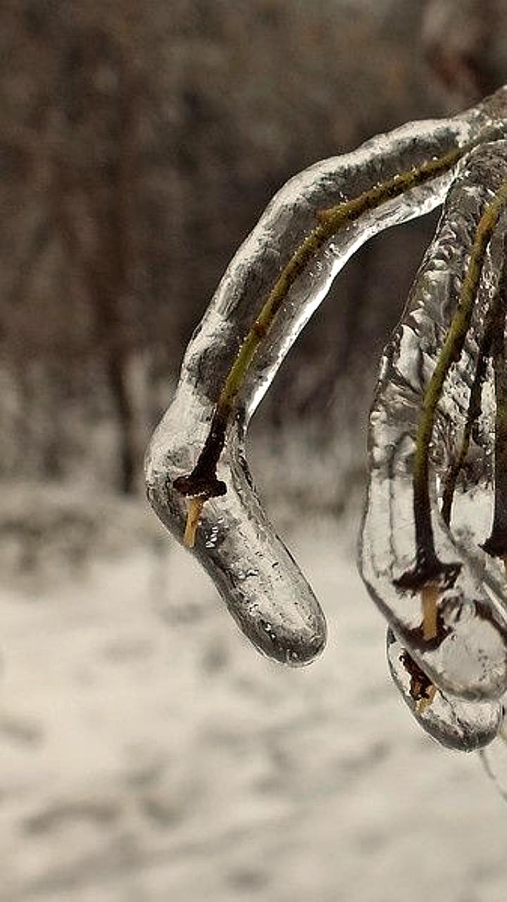 Штормовое предупреждение в Ростовской области: ожидаются гололед и сильный ветер