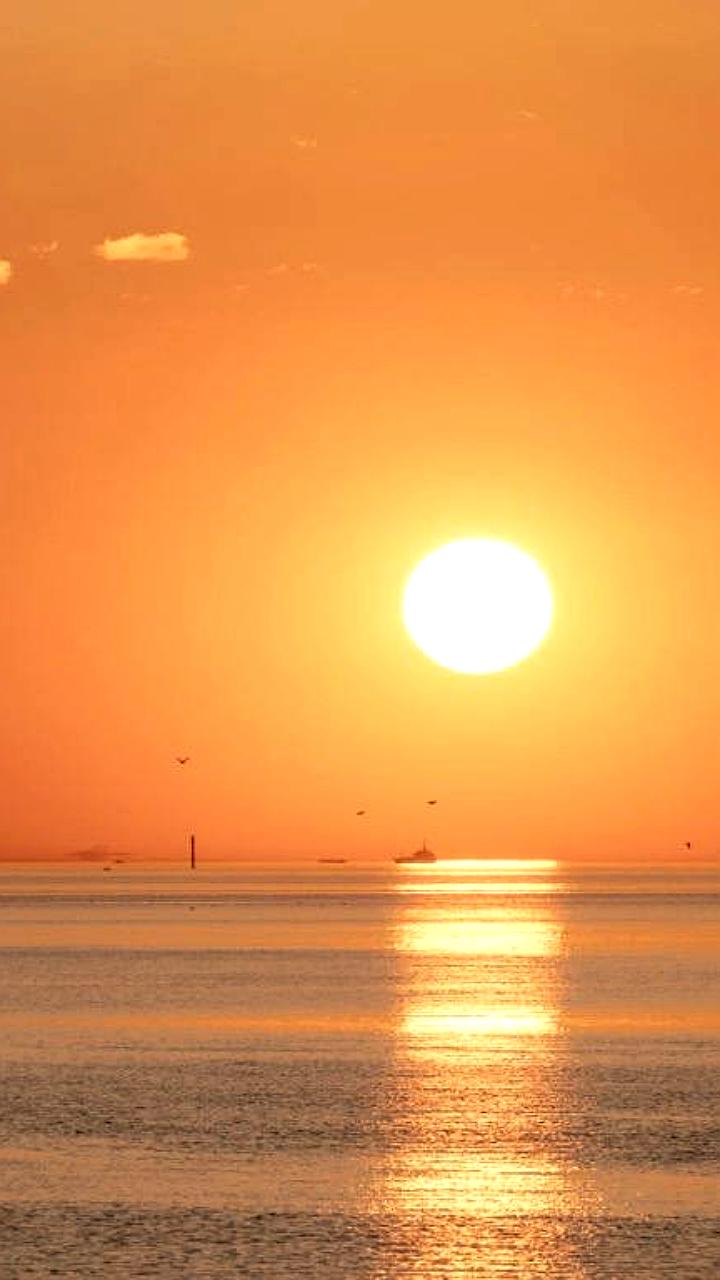 Декабрь в Петербурге: всего 7,5 часов солнечного света