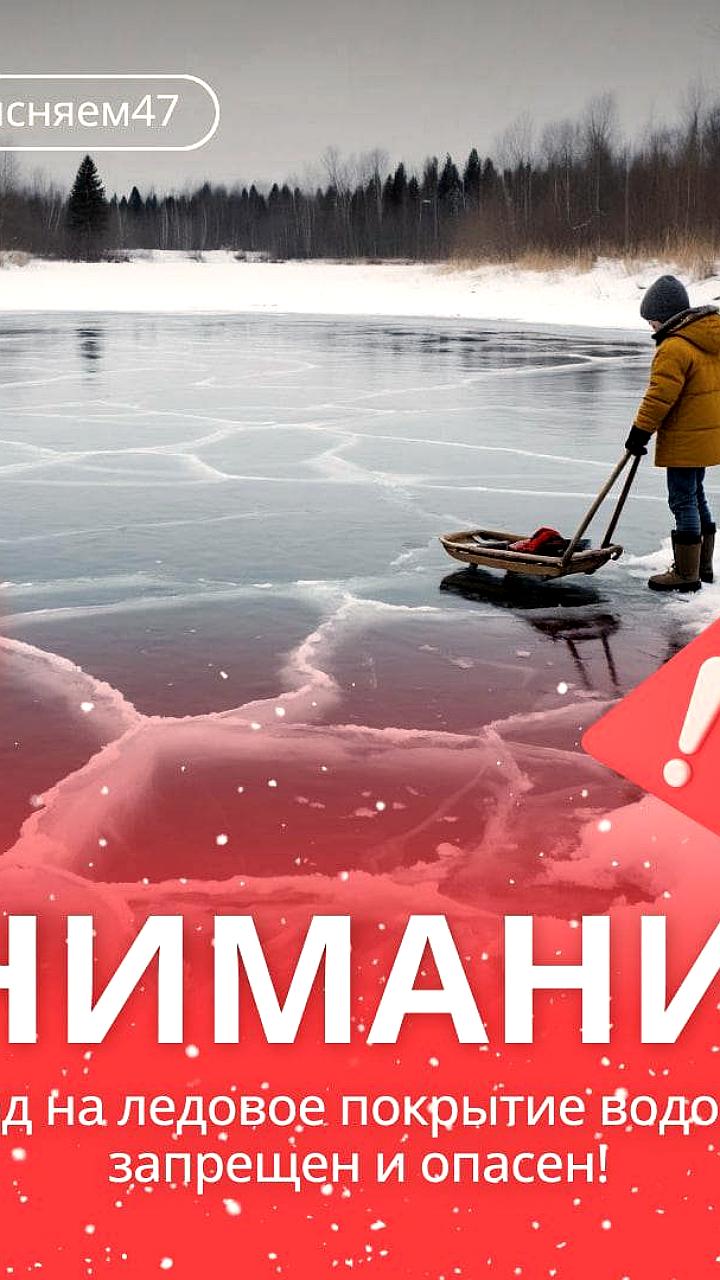 Владивосток и Гомель: Спасатели предупреждают о рисках зимней рыбалки и выхода на лед