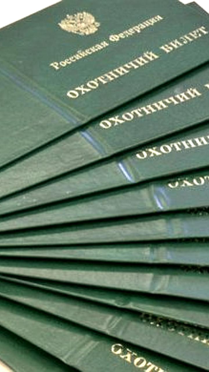 В Камчатском крае изменились требования для получения охотничьего билета: 70% начинающих охотников успешно сдают экзамен