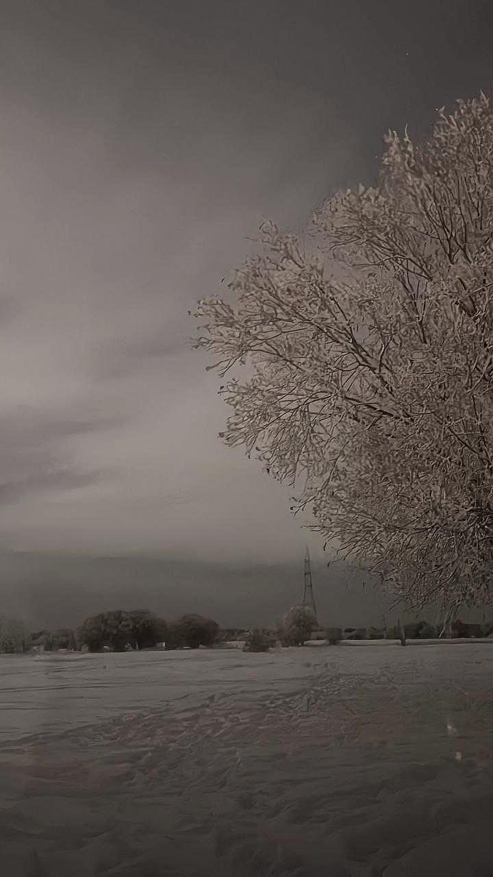 В Нюрбинском районе продолжаются поиски пропавшей женщины