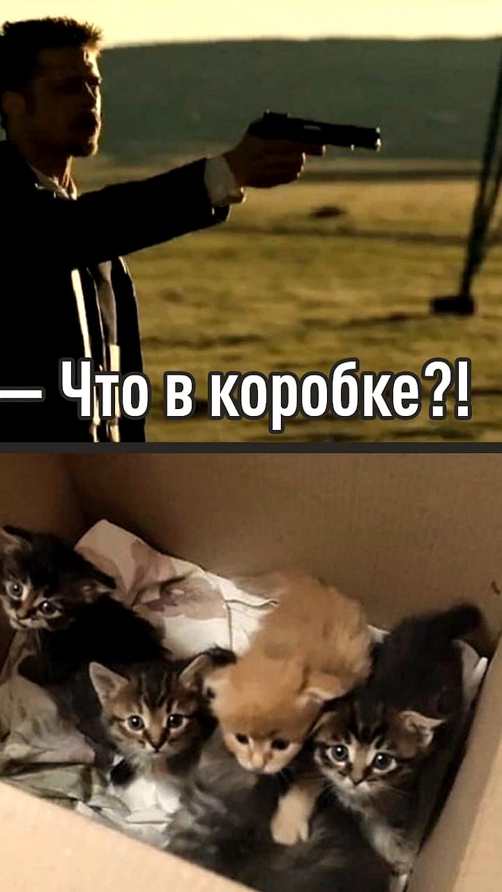 Составлен список 100 фильмов с неожиданными сюжетными поворотами