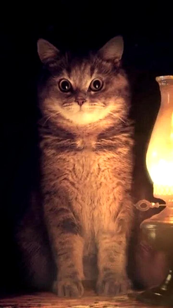 Путин поручил разработать план развития дата-центров до 2036 года